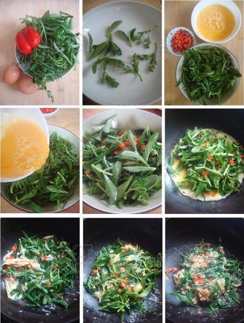 ���Ĳݳ���������