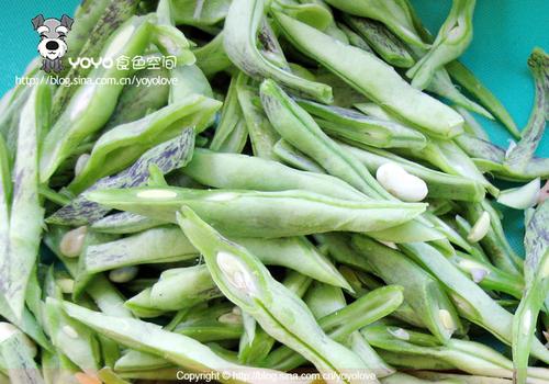 ����ļ���������