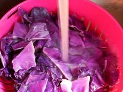 ���С��������