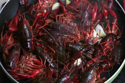 红烧小龙虾的做法