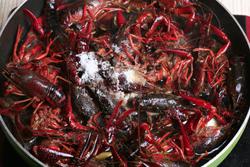 红烧小龙虾的做法