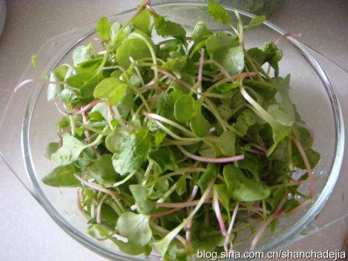 凉拌萝卜苗的做法