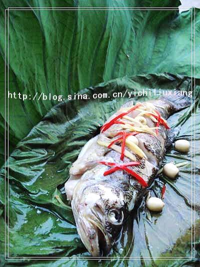 �����������������