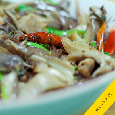 ��ȻĢ��������