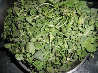 翡翠蘑菇肉丝的做法