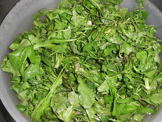 翡翠蘑菇肉丝的做法