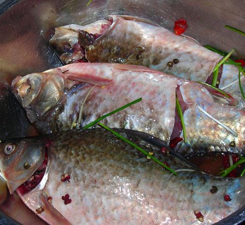 ����ˮ�����������