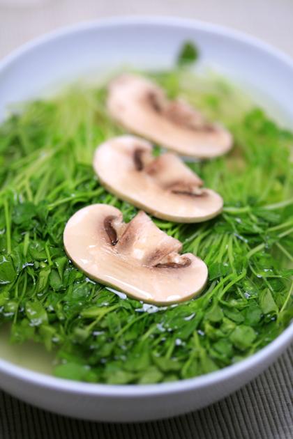 ����Ģ����������