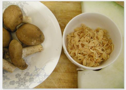 �㹽�ն��ϵ�����