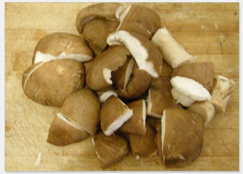 �㹽�ն��ϵ�����