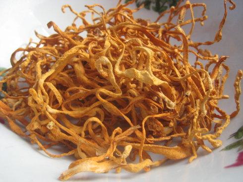 ��ݻ�������������