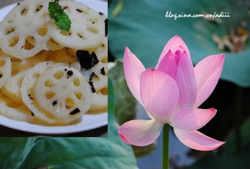 ���軨��ź������