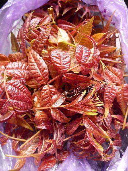 腐衣拌香椿的做法