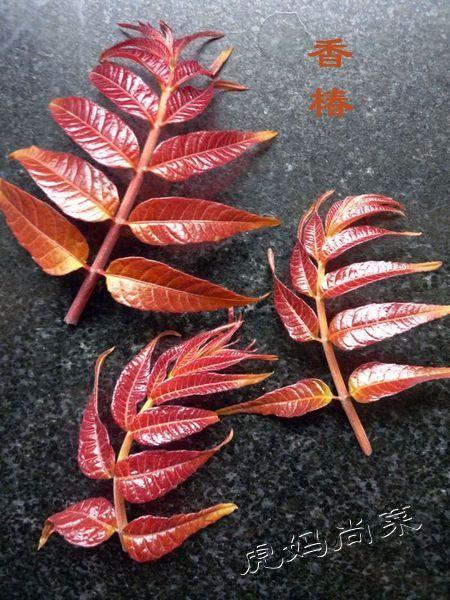 腐衣拌香椿的做法