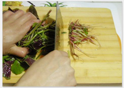 �Ȳ˶�����������