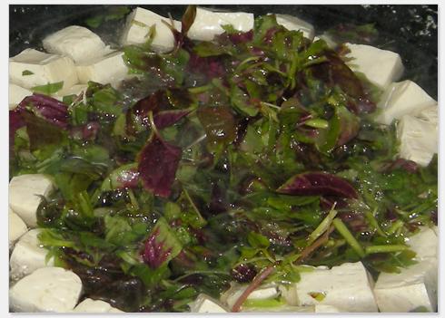 �Ȳ˶�����������