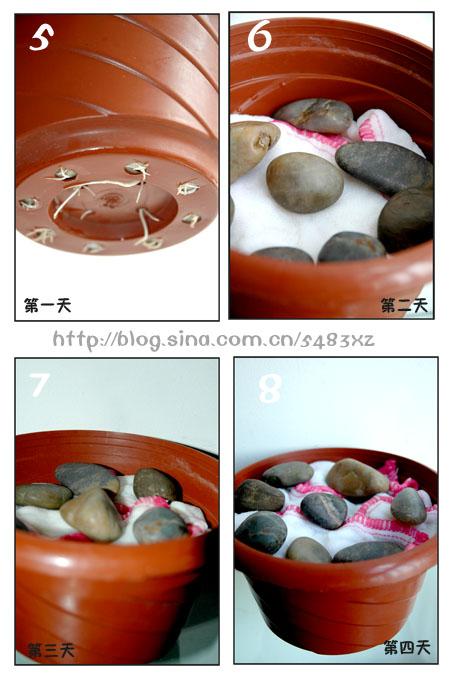 ͼ����ͥ�Է���ѿȫ���̵�����