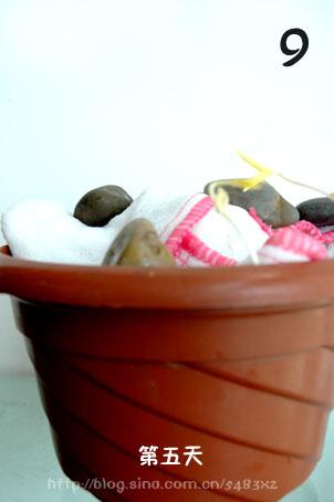 ͼ����ͥ�Է���ѿȫ���̵�����