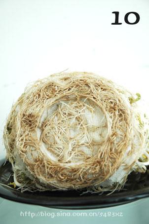 ͼ����ͥ�Է���ѿȫ���̵�����