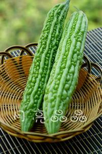 ������ϵ�����