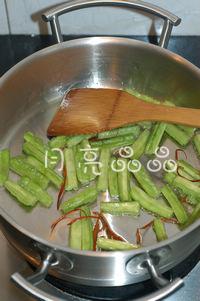 ������ϵ�����