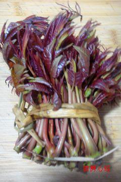 �㴻�������