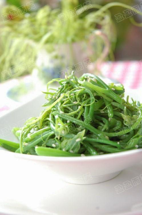 ���Ͱ�����˵�����