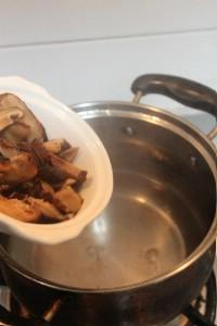 �����Źǵ�����