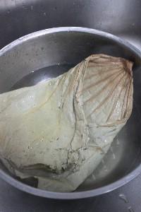 �����Źǵ�����