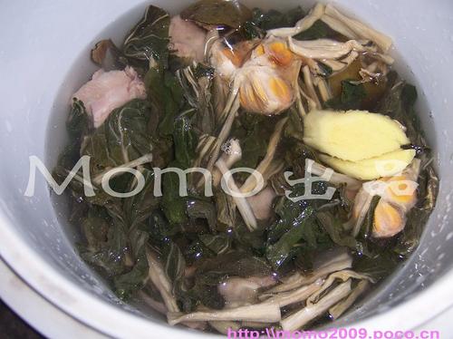 �޺����˸��Ź���������