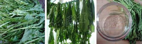 ��ѩ�˵�����