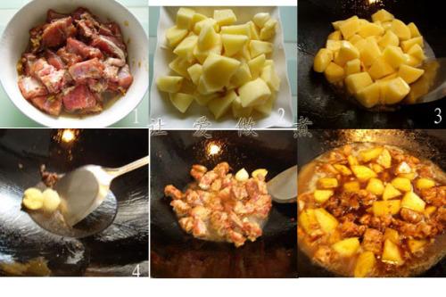 �����Ź�����������