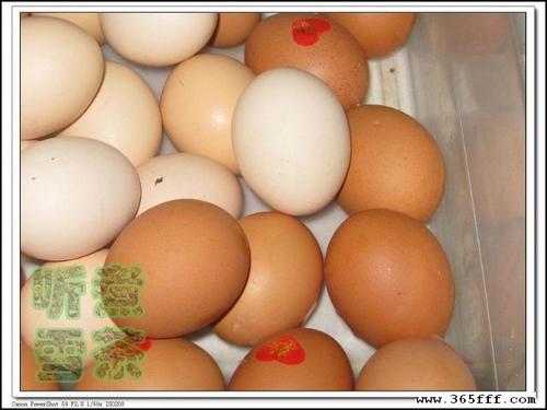 �۲˳���������