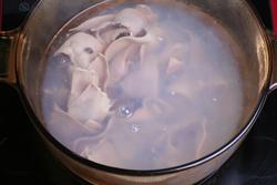 ������Ƭ������