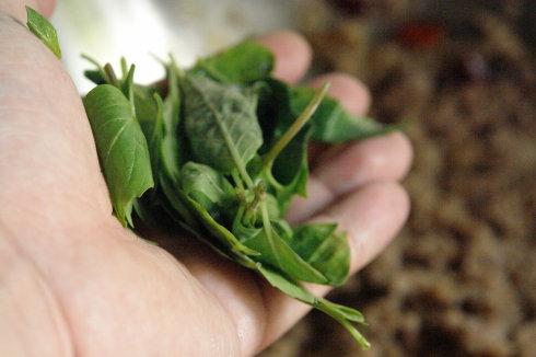 ������������