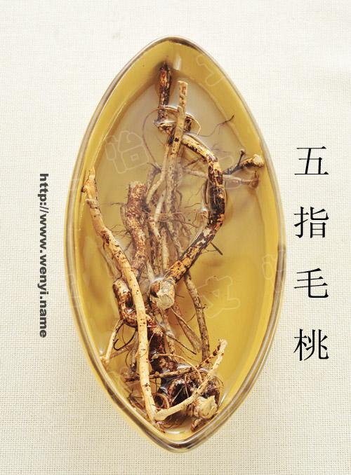 ��ָë���Ҽ���������