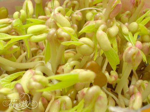 �ڼҷ���ѿ������