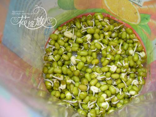 �ڼҷ���ѿ������