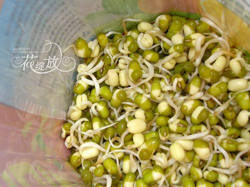 �ڼҷ���ѿ������