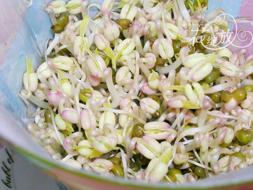 �ڼҷ���ѿ������