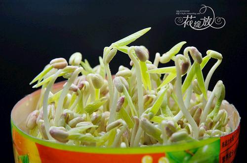 �ڼҷ���ѿ������