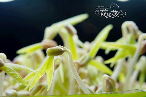 �ڼҷ���ѿ������