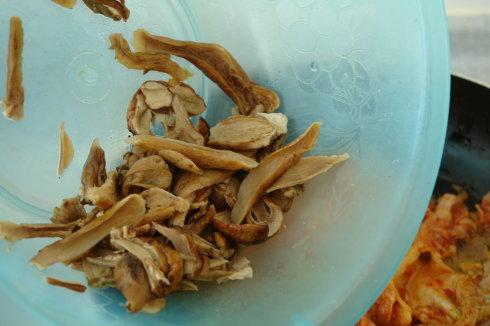 �ݲ�ţ�ξ�������