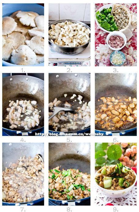 �ײ��ʹ���Ƭ������