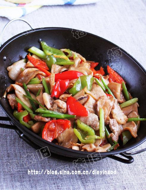 �ɹ��ӱ���������