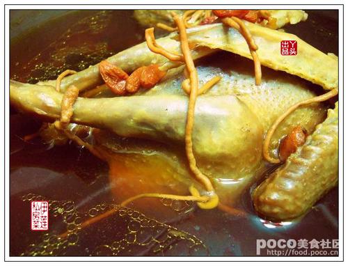 枸杞虫草花炖老鸽的做法