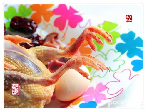 枸杞虫草花炖老鸽的做法