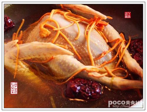 枸杞虫草花炖老鸽的做法