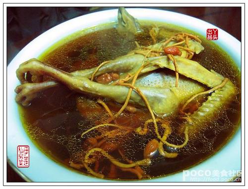 枸杞虫草花炖老鸽的做法