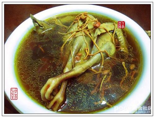 枸杞虫草花炖老鸽的做法